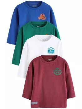 Лонгслив Next Shirt, разноцветный