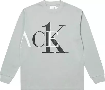 Лонгслив Palace x Calvin Klein Long-Sleeve 'Quarry', серый