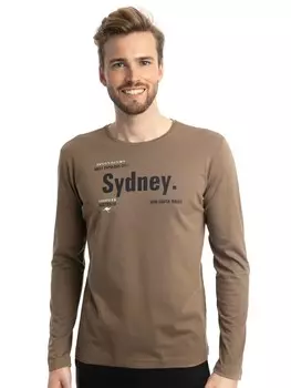 Лонгслив Roadsign, коричневый