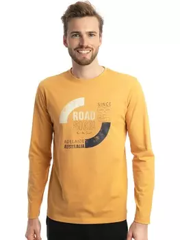 Лонгслив Roadsign, желтый