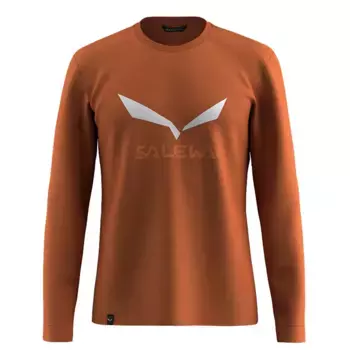 Лонгслив Salewa Solidlogo Dry, коричневый