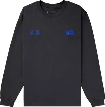 Лонгслив The North Face x KAWS Long-Sleeve Tee 'Asphalt Grey', серый