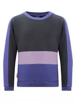 Лонгслив Trollkids Sweatshirt Verdal, фиолетовый