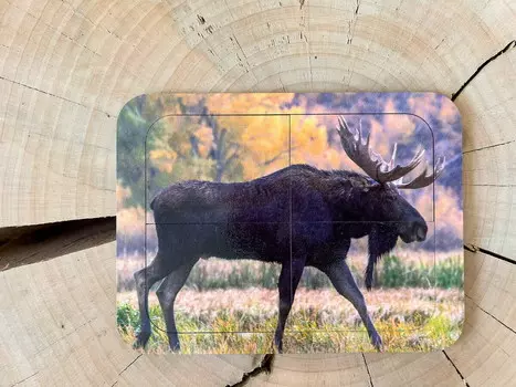 Лось, деревянный пазл с четырьмя элементами, основа с подписью, первый пазл Inna marka