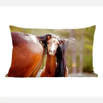 Лошади MuchoWow - жеребенок прячется под хвостом матери - 50x30 см - чехлы на диванные подушки - без наполнителя