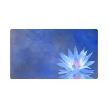 Лотос, Kraken Gamematz