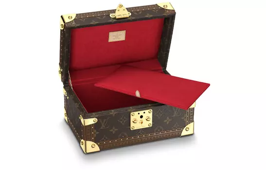Louis Vuitton Женский твердый футляр