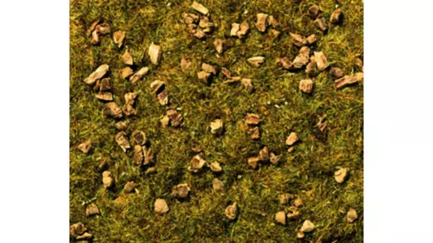 Луговая трава каменистая горная Noch