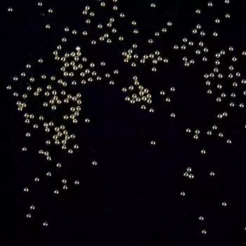 Люкс Икра Золотой Бульон 0,8Мм, Molly Lac