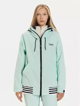 Лыжная куртка стандартного кроя Colourwear, зеленый