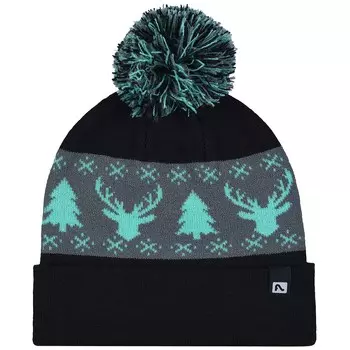 Лыжная шапка бини Flylow