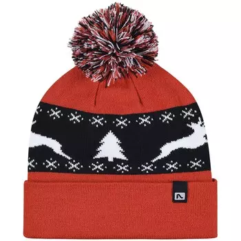 Лыжная шапка бини Flylow