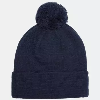 Лыжная шапка evo