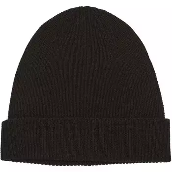 Лыжная шапка Tentree