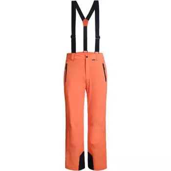 Лыжные брюки ICEPEAK ФРАЙБЕРГ