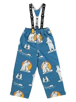 Лыжные брюки Smfolk Eisbren, синий