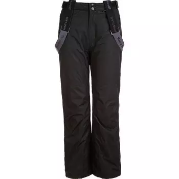 Лыжные брюки WHISTLER Fairfax, цвет schwarz