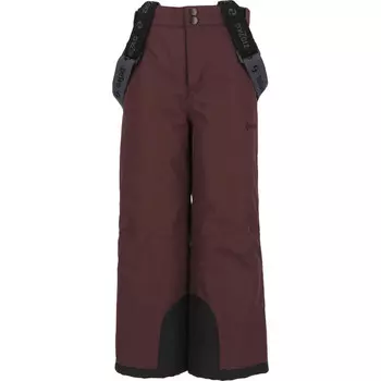 Лыжные брюки ZIGZAG Provo, цвет braun