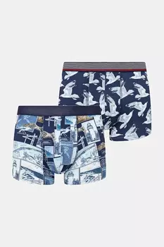 Лыжные носки Ski Patriot 4.0 X-Socks, темно-синий