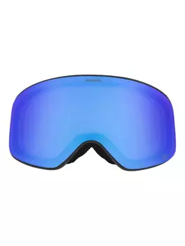 Лыжные очки Fernie Q-lite Alpina, черный