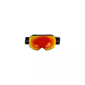 лыжные очки WHISTLER WS9000