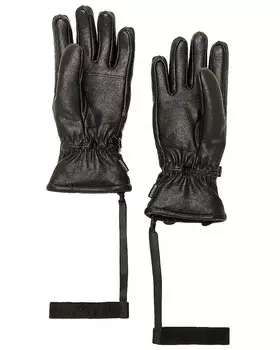 Лыжные перчатки Ниши Goldbergh, черный