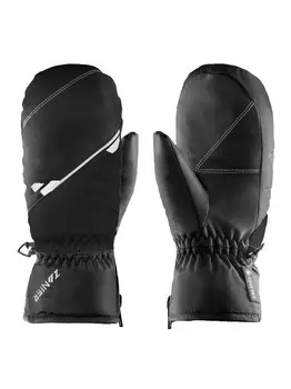 Лыжные перчатки Zanier RAURIS.GTX MITTEN UX, черный
