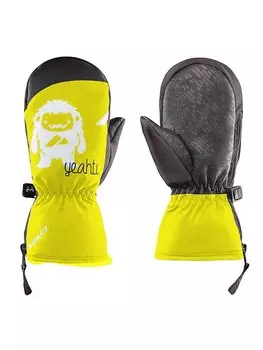 Лыжные перчатки Zanier YEAHTI.STX MITTEN KI, разноцветный