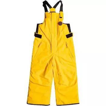 Лыжные штаны Boogie для детей QUIKSILVER, цвет gelb