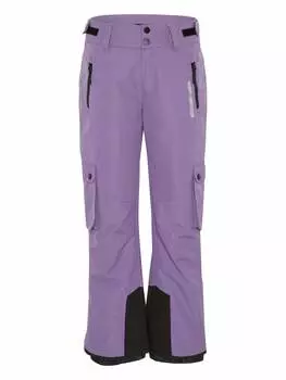 Лыжные штаны Chiemsee Skihose, цвет Dunkel Lila