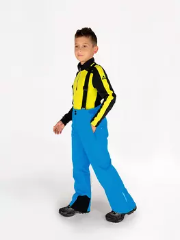 Лыжные штаны Fischer Vancouver, синий