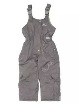 Лыжные штаны Peak Mountain, серый