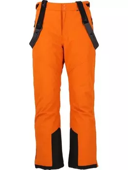 Лыжные штаны Whistler Skihose Drizzle, цвет 5141 Autumn Maple