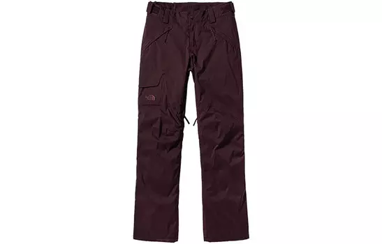 Лыжные штаны женские фиолетовые The North Face
