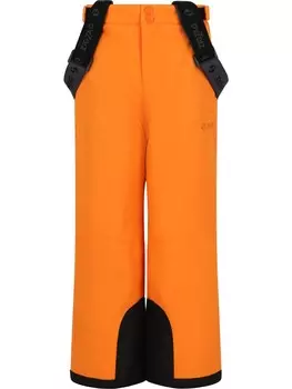 Лыжные штаны Zigzag Skihose Provo, цвет 5081 Oriole
