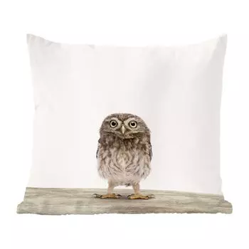 Магазин анималистической печати MuchoWow - детский сад с лапшой и животным принтом - 60x60 см - чехол на подушку - хлопчатобумажная ткань - декоративные чехлы на подушки