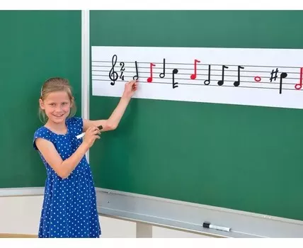 Магнитный посох, предназначенный для сухого стирания. PHU Lewandowski