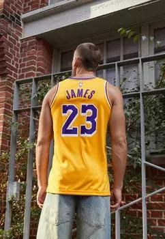 майка НБА Los Angeles Lakers Lebron James Lal Nike, цвет amarillo