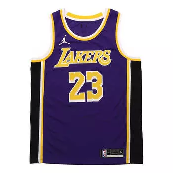 Майка Nike Los Angeles Lakers LeBron James Statement Jersey 'Purple Yellow', фиолетовый
