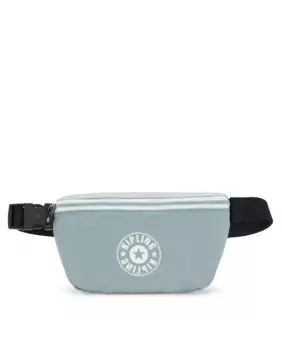 Маленькая поясная сумка FRESH LITE серого цвета Kipling, светло-серый