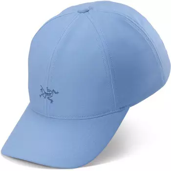 Маленькая птичья шапка Arcteryx, синий