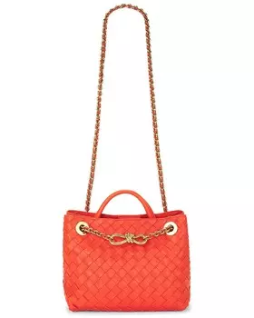 Маленькая сумка Andiamo Bottega Veneta, цвет Orange & Muse Brass