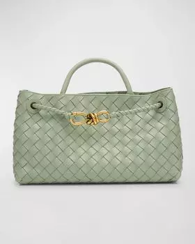 Маленькая сумка East-West Andiamo Bottega Veneta, цвет New Sauge