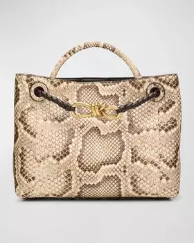 Маленькая сумка-тоут Andiamo Python Bottega Veneta, цвет Roccia Fondant