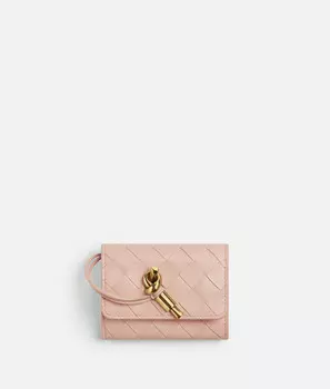 Маленький конверт Andiamo Bottega Veneta