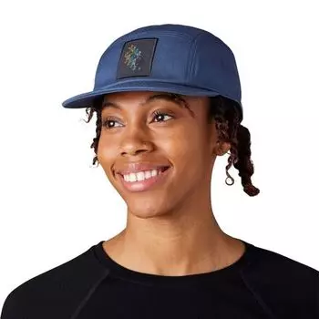 Маленький парень 5 Панель Smartwool, цвет Dark Denim