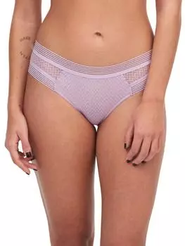 Манхэттенский коротышка Passionata, фиолетовый