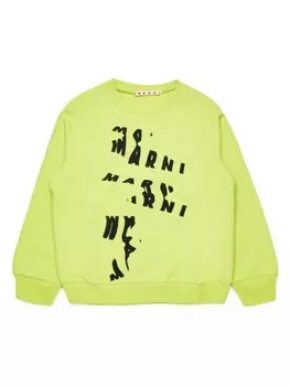 Marni Kids хлопковая толстовка с логотипом, зеленый