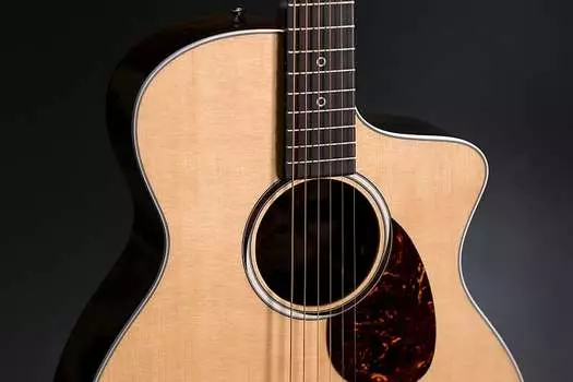 Мартин SC-13E Специальный Martin SC-13E Special