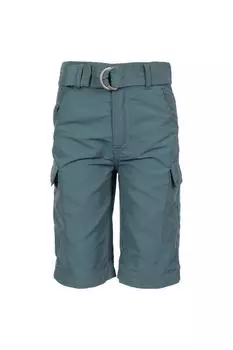 Мастерски шорты Trespass, зеленый